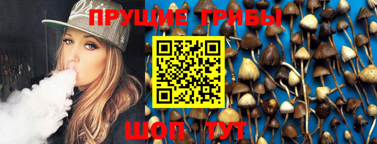 Галлюциногенные грибы MAGIC MUSHROOMS  наркошоп  Иваново  Вход с VPN  Псилоцибиновые грибы мухоморы 